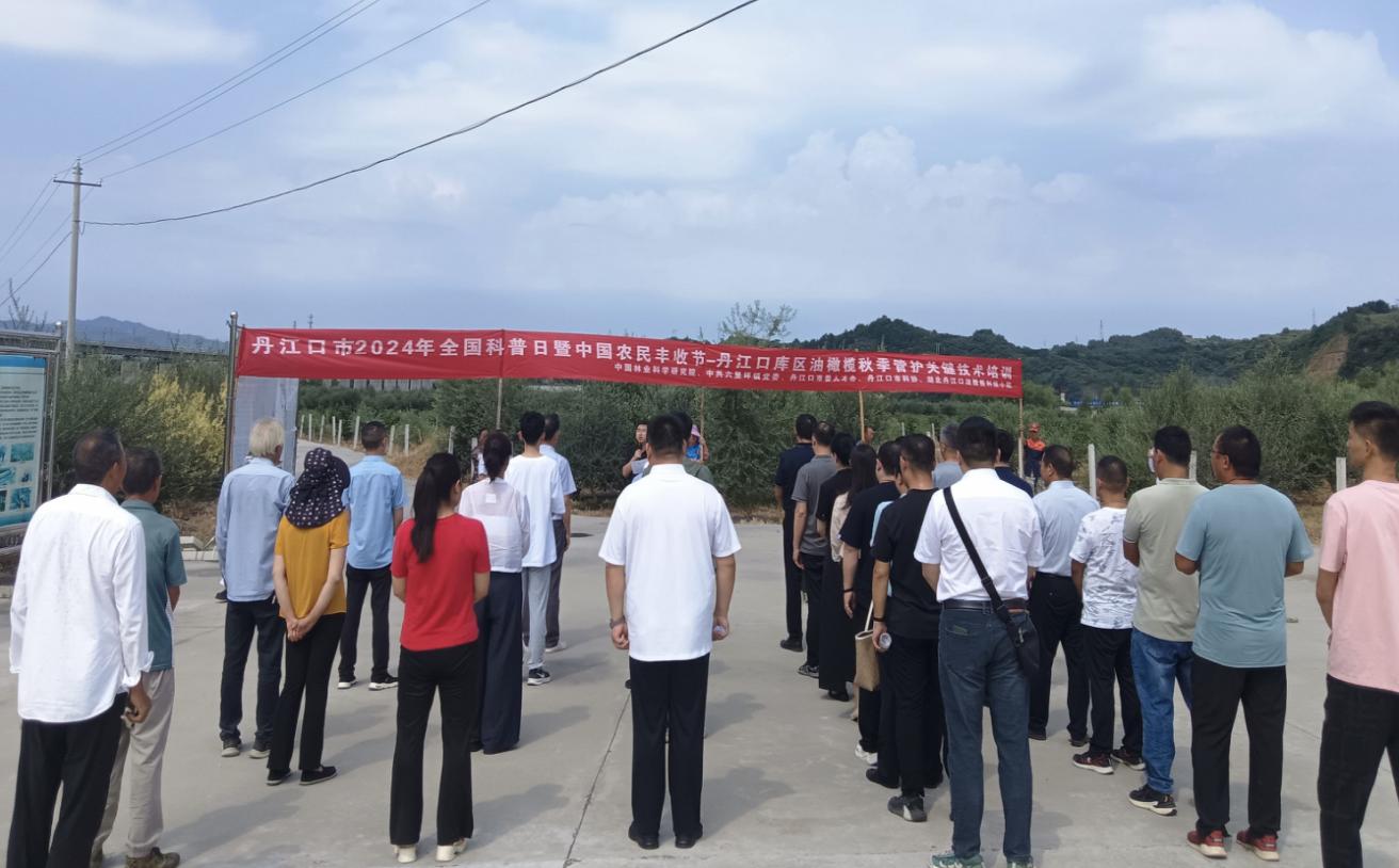 截图_选择区域_20240909173903.jpg
