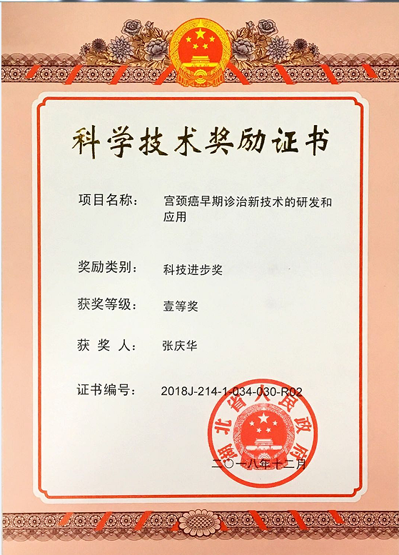 科技成果及荣誉02.png