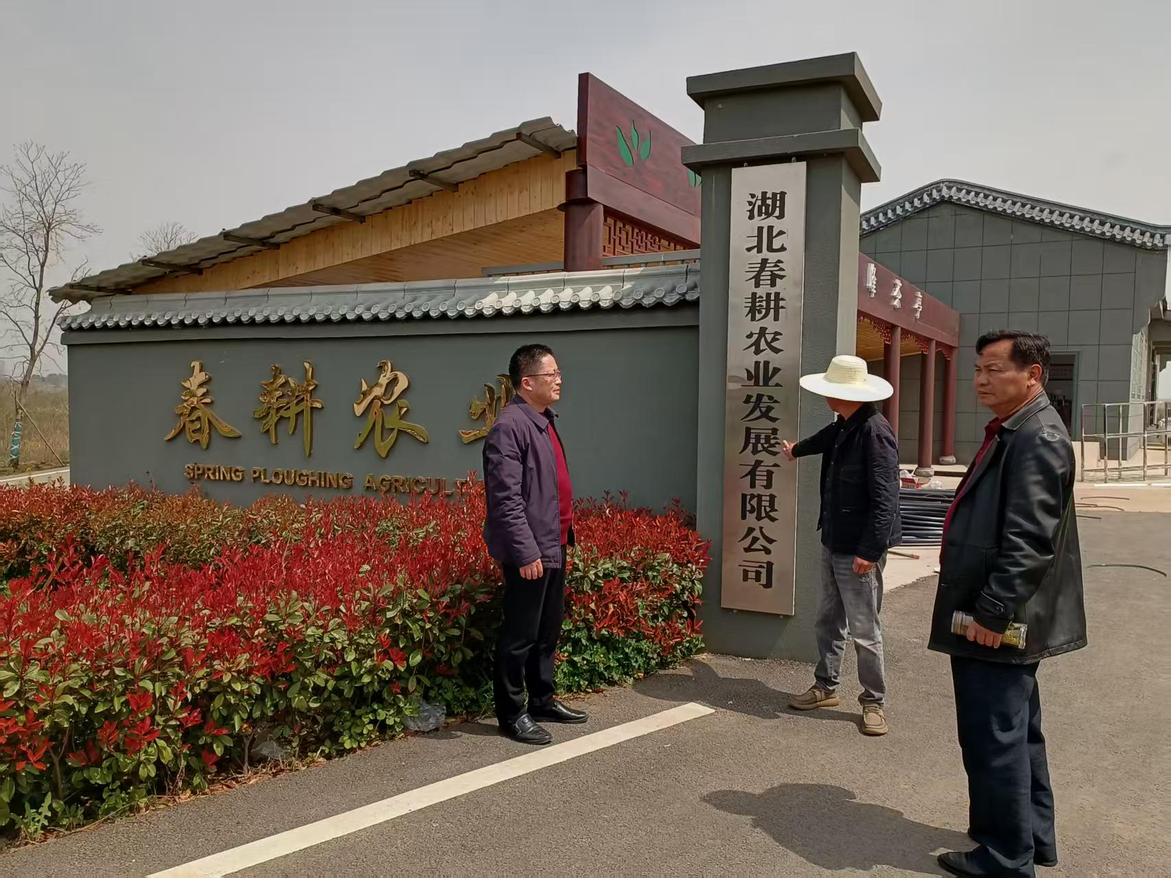 图片19.png